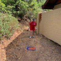 taj mahal painter -karen 1